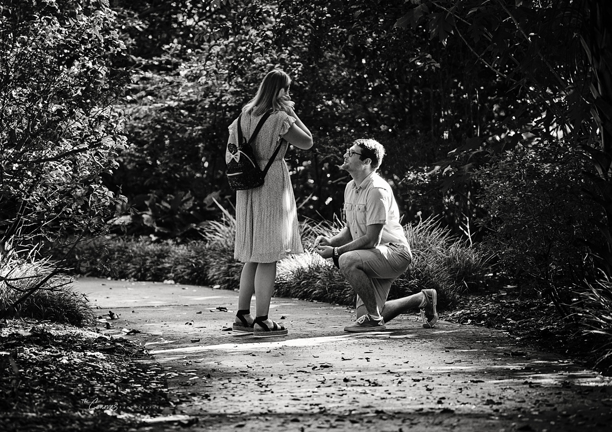 Harry P. Leu Gardens Proposal Photography Session