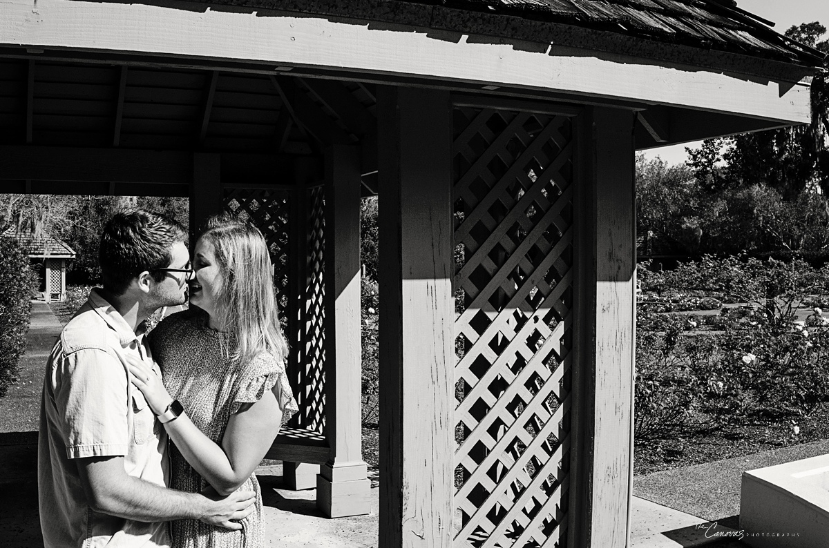 Harry P. Leu Gardens Proposal Photography Session