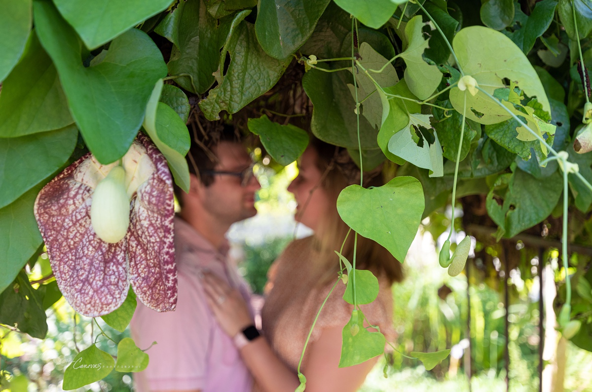 Harry P. Leu Gardens Proposal Photography Session