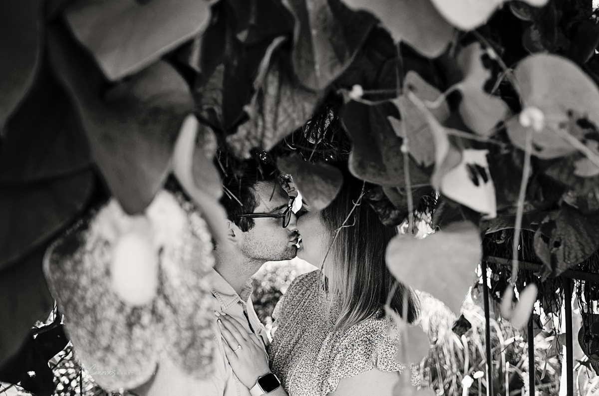 Harry P. Leu Gardens Proposal Photography Session