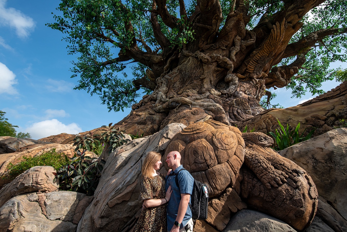 Disney's Animal Kingdom Proposal