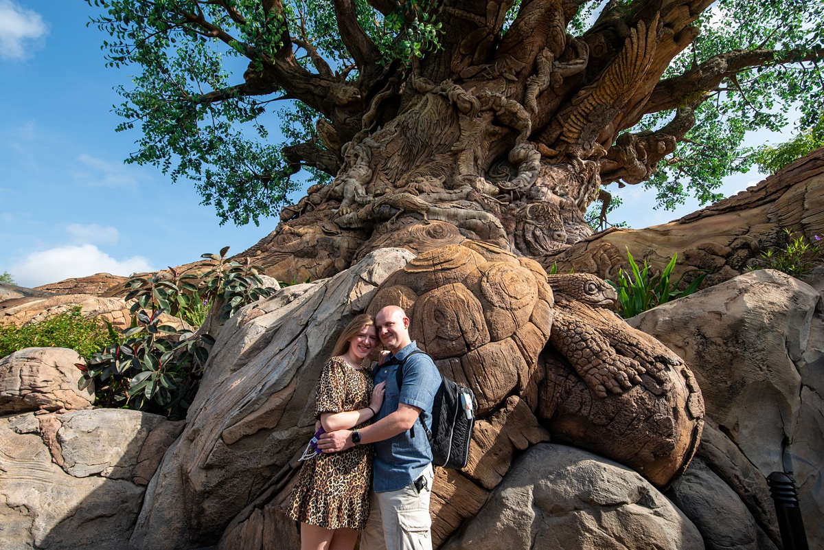 Disney's Animal Kingdom Proposal