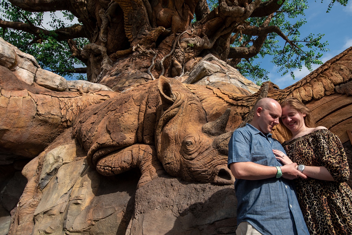 Disney's Animal Kingdom Proposal