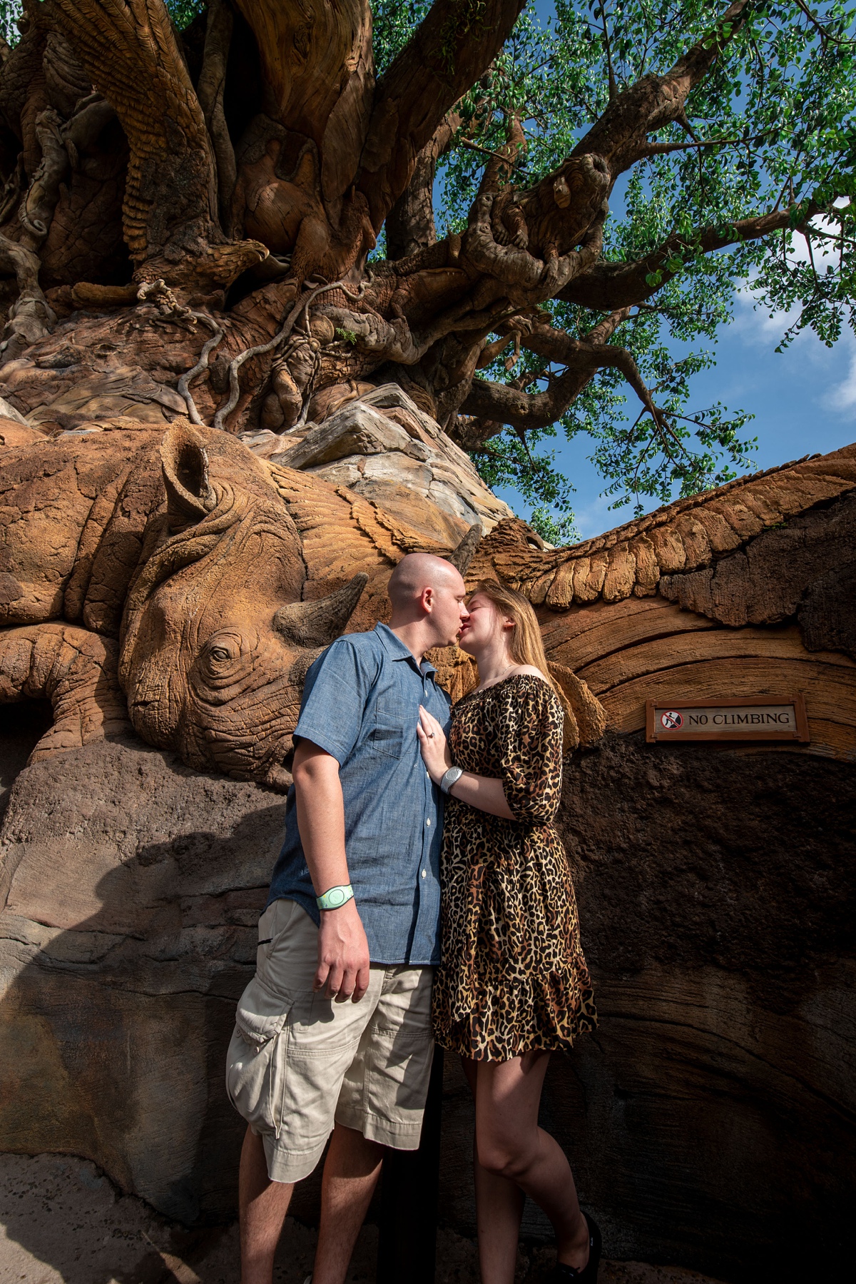 Disney's Animal Kingdom Proposal