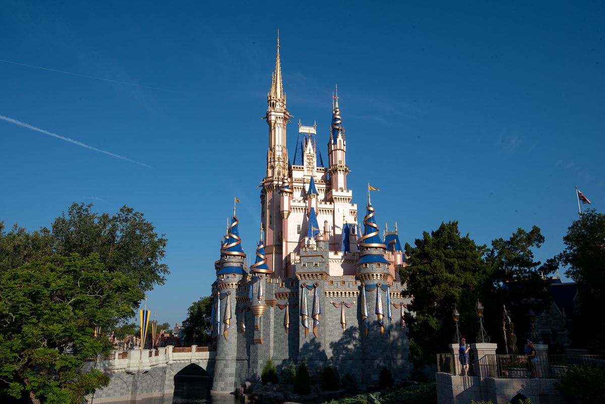 Disney's Magic Kingdom Proposal Photography