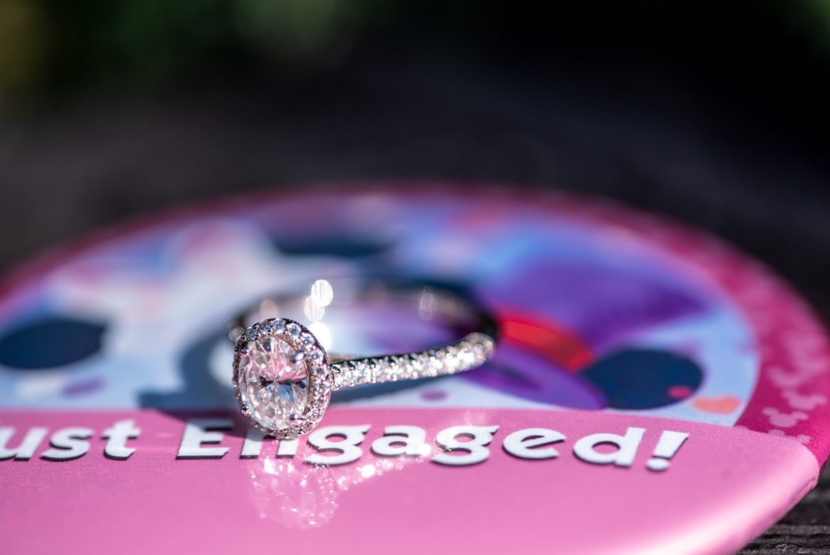 Disney's Magic Kingdom Proposal Photography