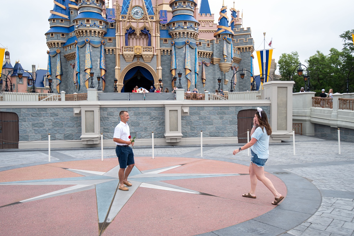 Surprise Disney Proposal