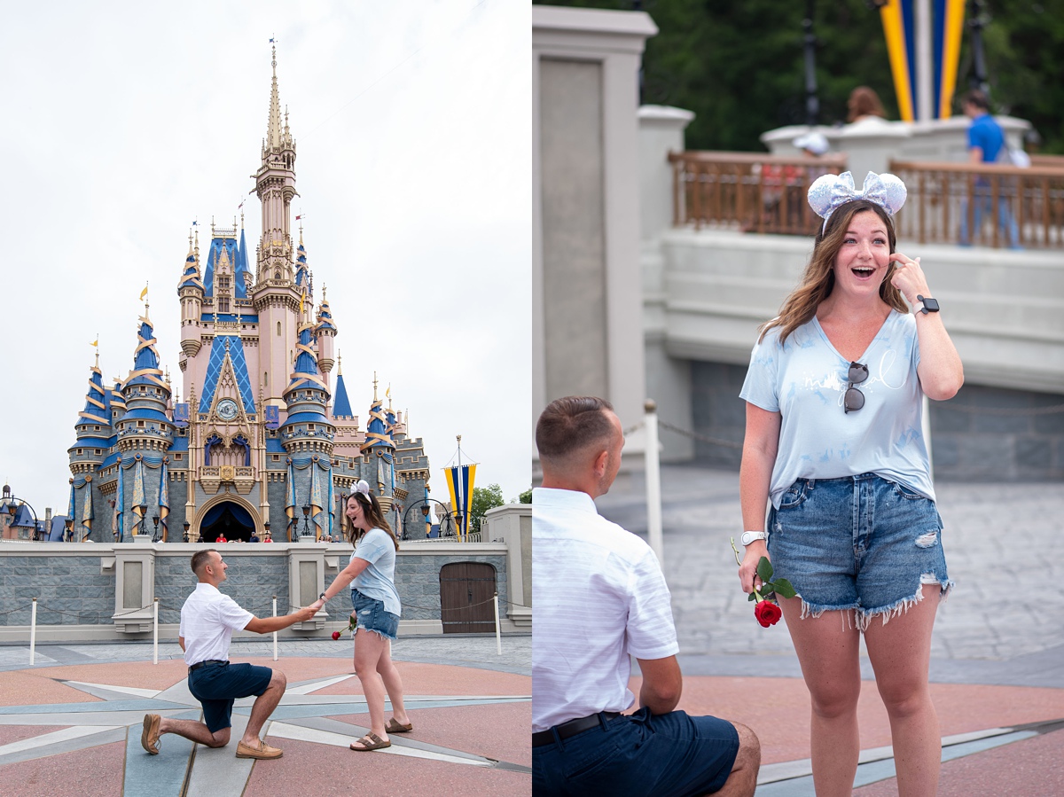 Surprise Disney World Proposal