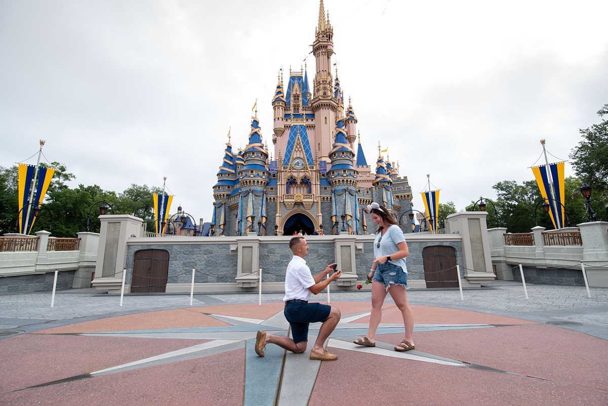Surprise Disney World Proposal