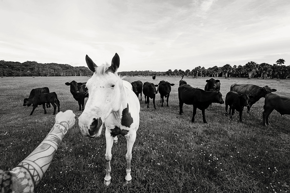 DeLand Maternity Photography