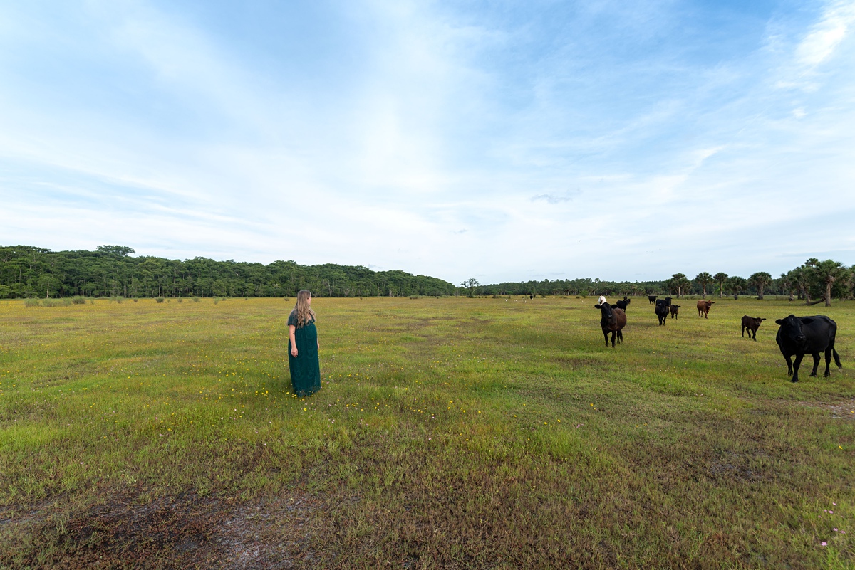 cows in field with green dress