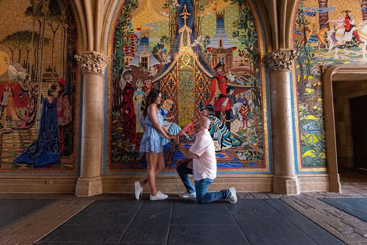 Magic Kingdom Proposal Ideas