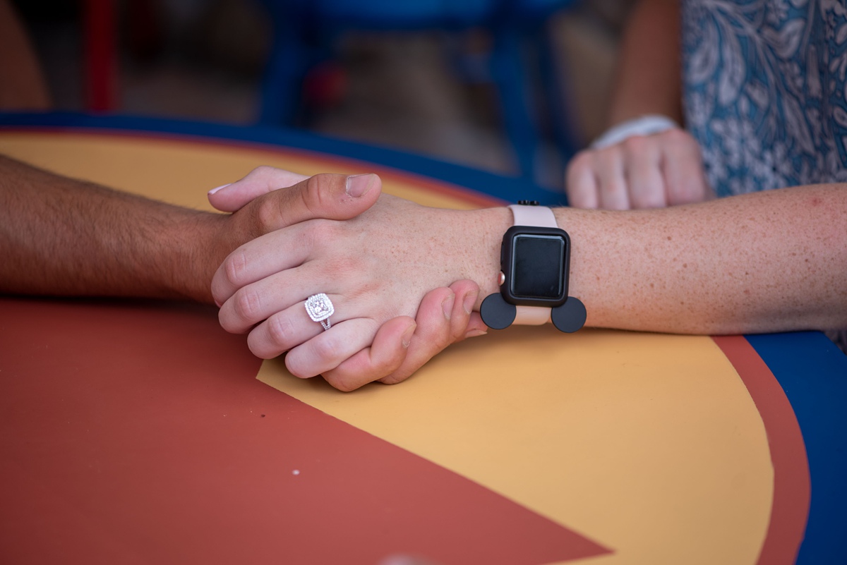 Surprise Disney World Proposal