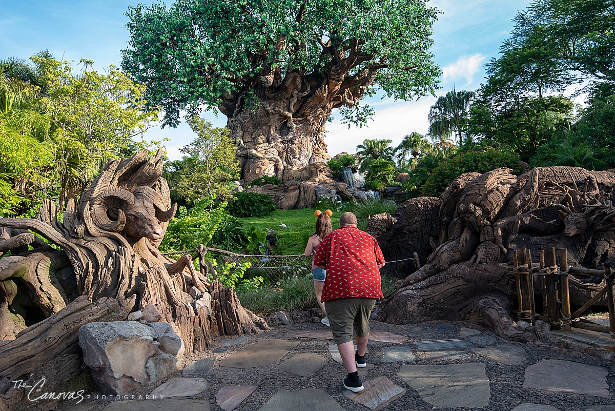 Disney's Animal Kingdom Proposal