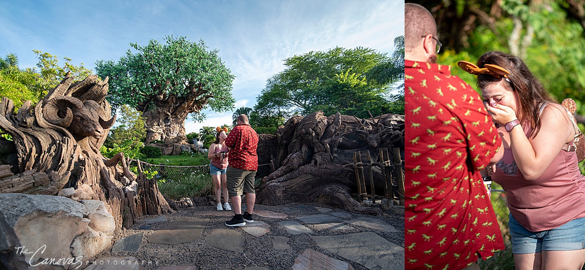 Disney's Animal Kingdom Proposal