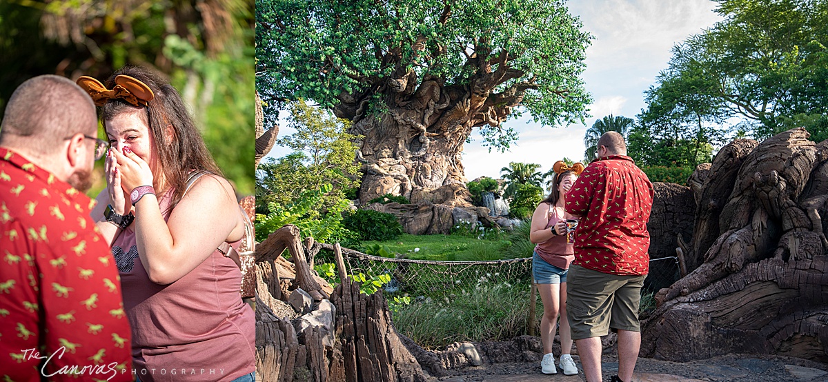 Disney's Animal Kingdom Proposal