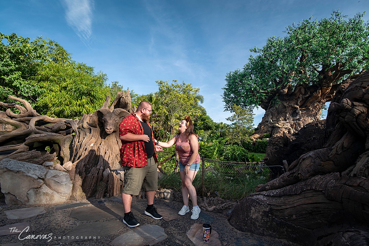 Disney's Animal Kingdom Proposal