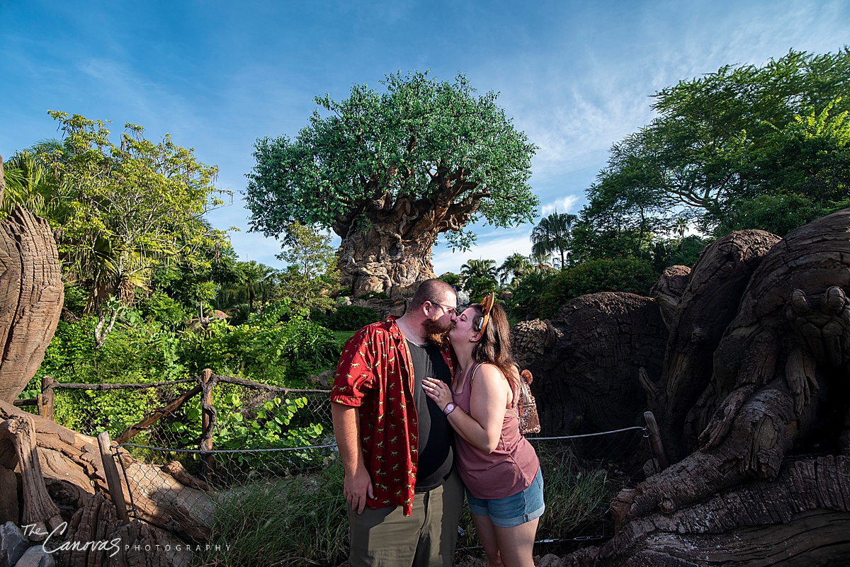 Disney's Animal Kingdom Proposal