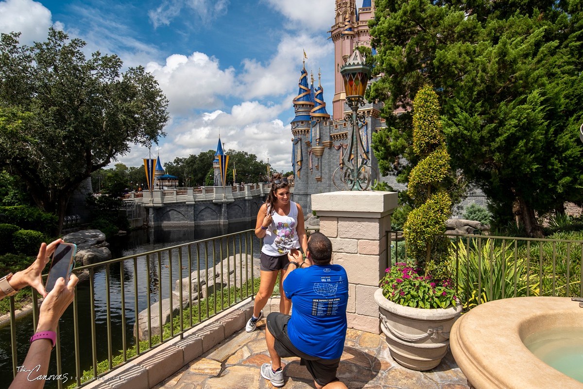 Walt Disney World Proposal Photographer
