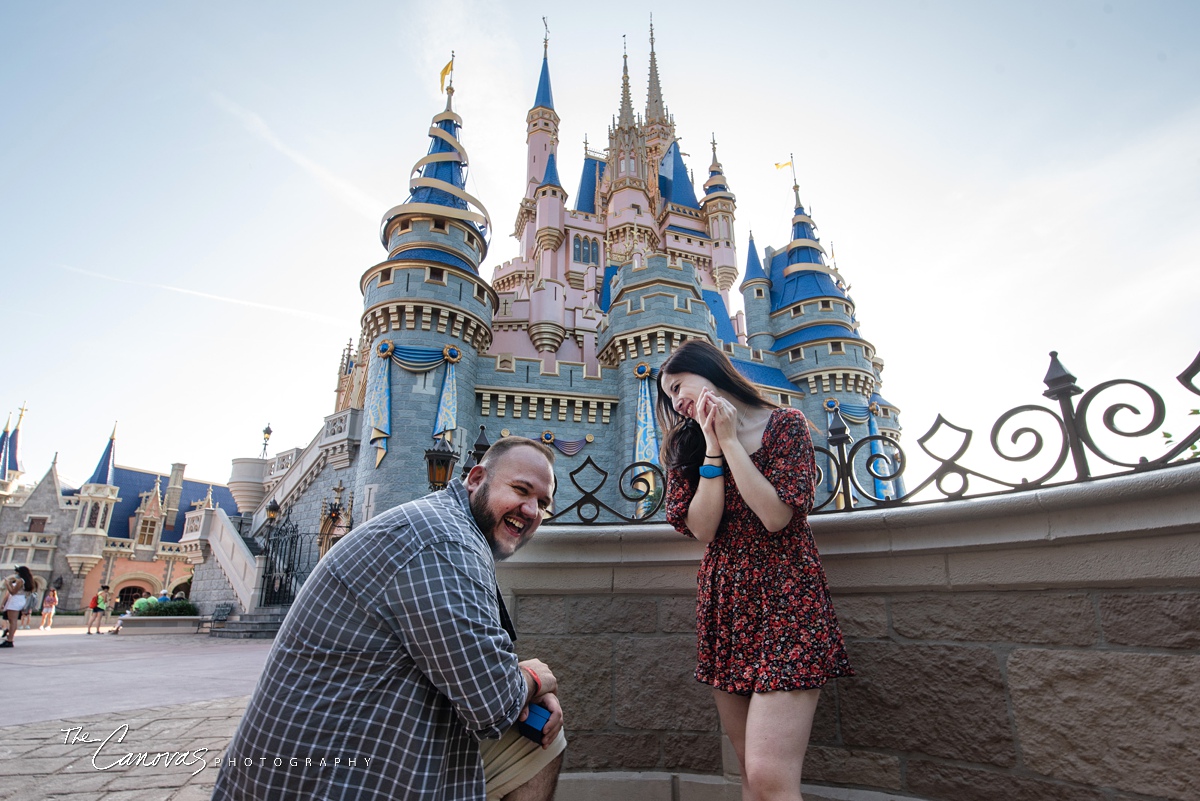 proposal in front of the castle