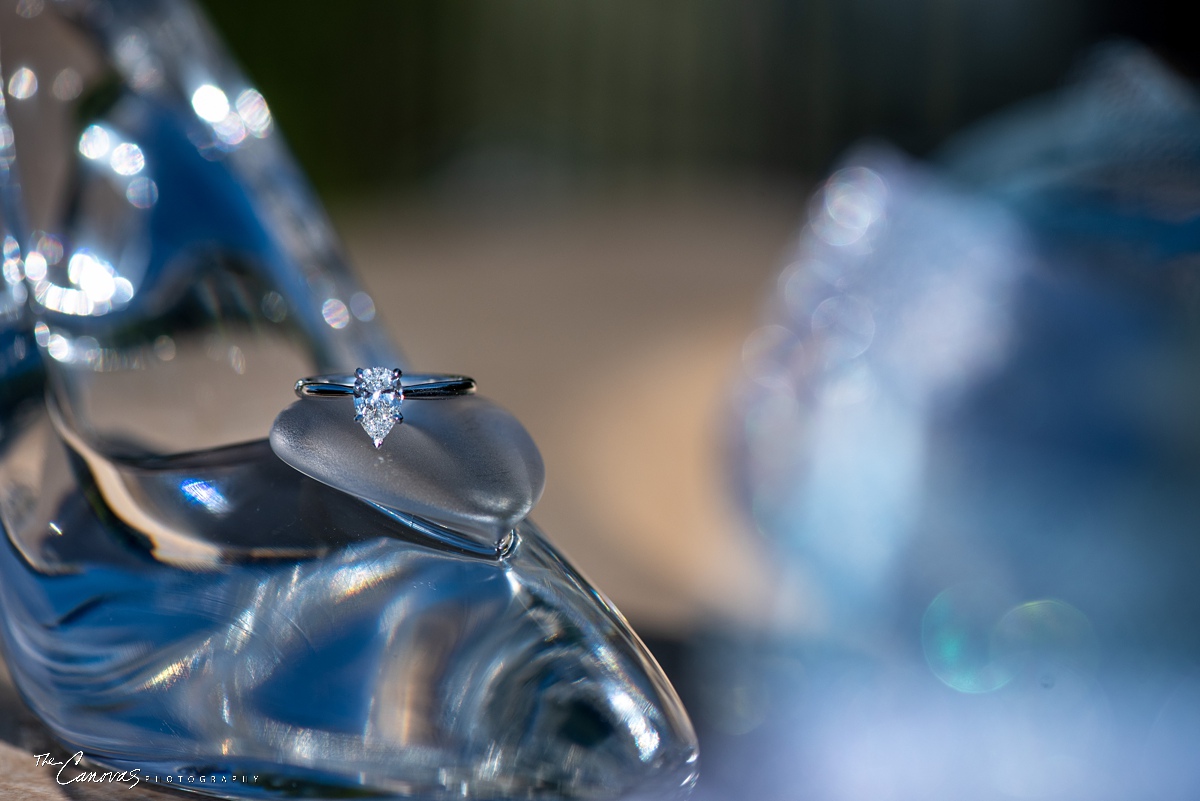 A Proposal at Magic Kingdom’s Wishing Well