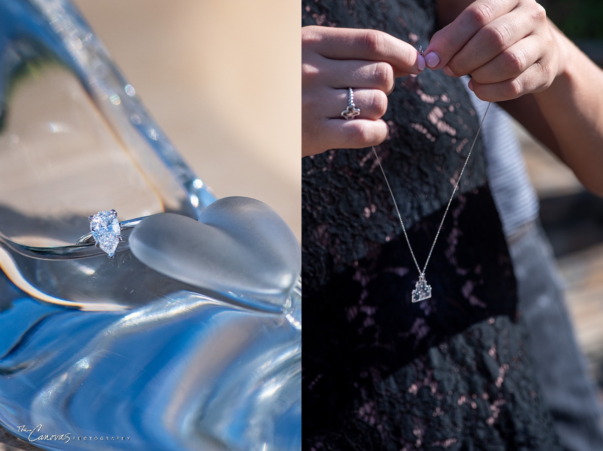 A Proposal at Magic Kingdom’s Wishing Well