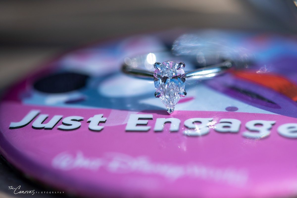 A Proposal at Magic Kingdom’s Wishing Well