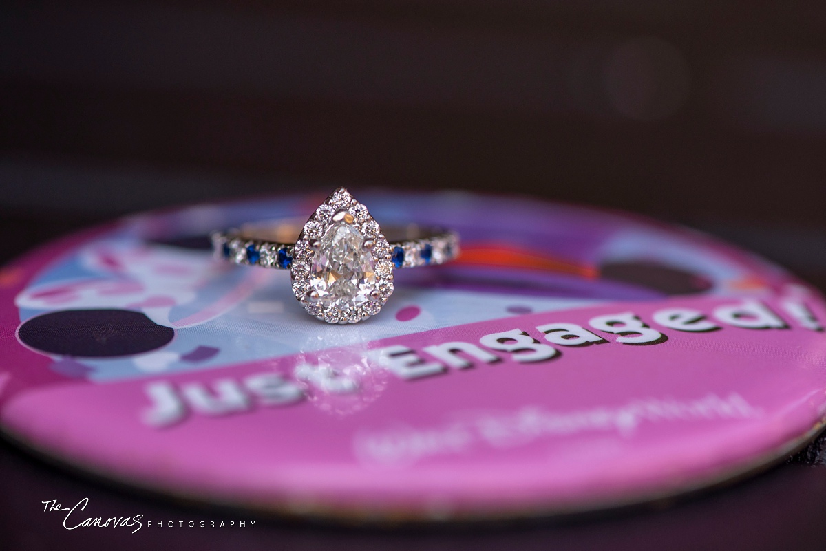 Proposal Photography at Epocot - Disney World