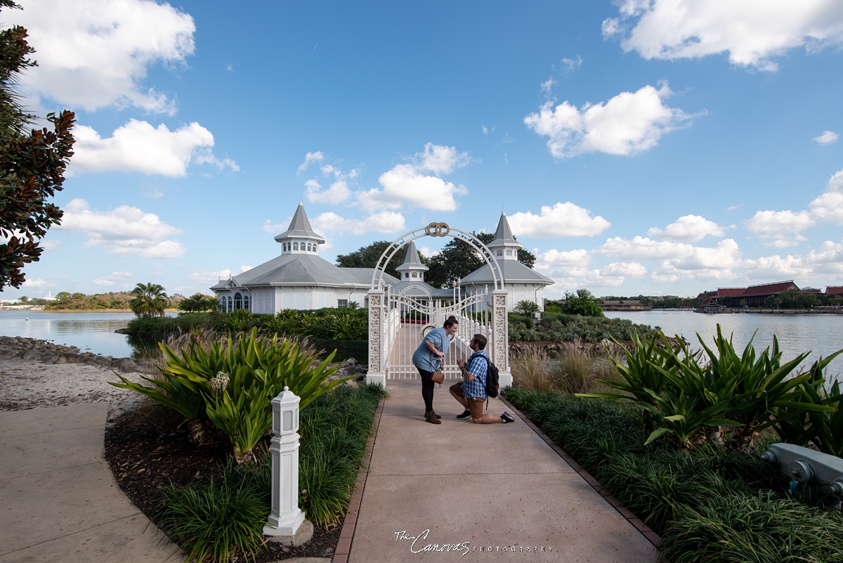 Proposal Photography