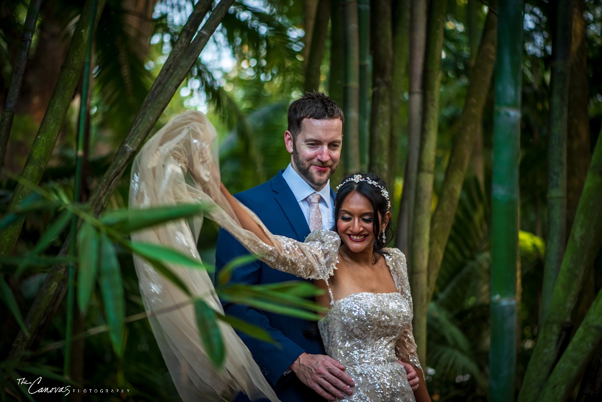 Engagement Portraits