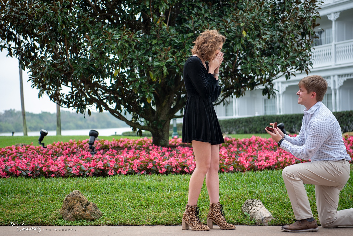 engagement portraits orlando, professional photography near me, grand floridian engagement