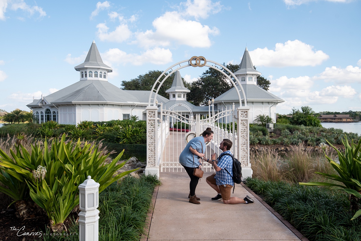 Proposal Photography