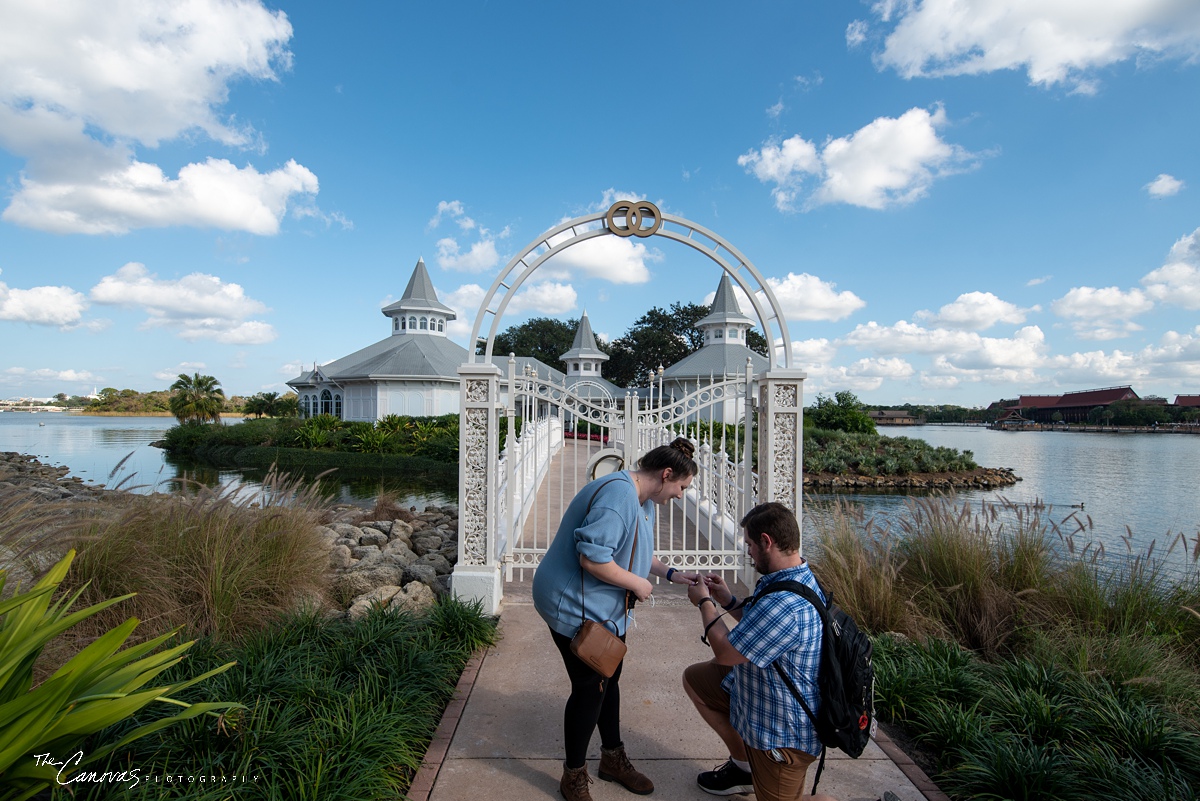 Proposal Photography