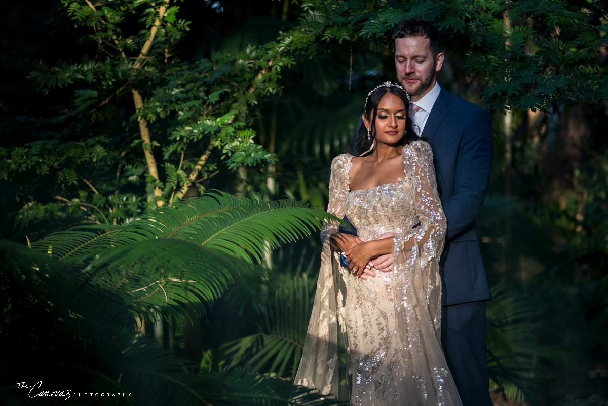 Engagement Portraits