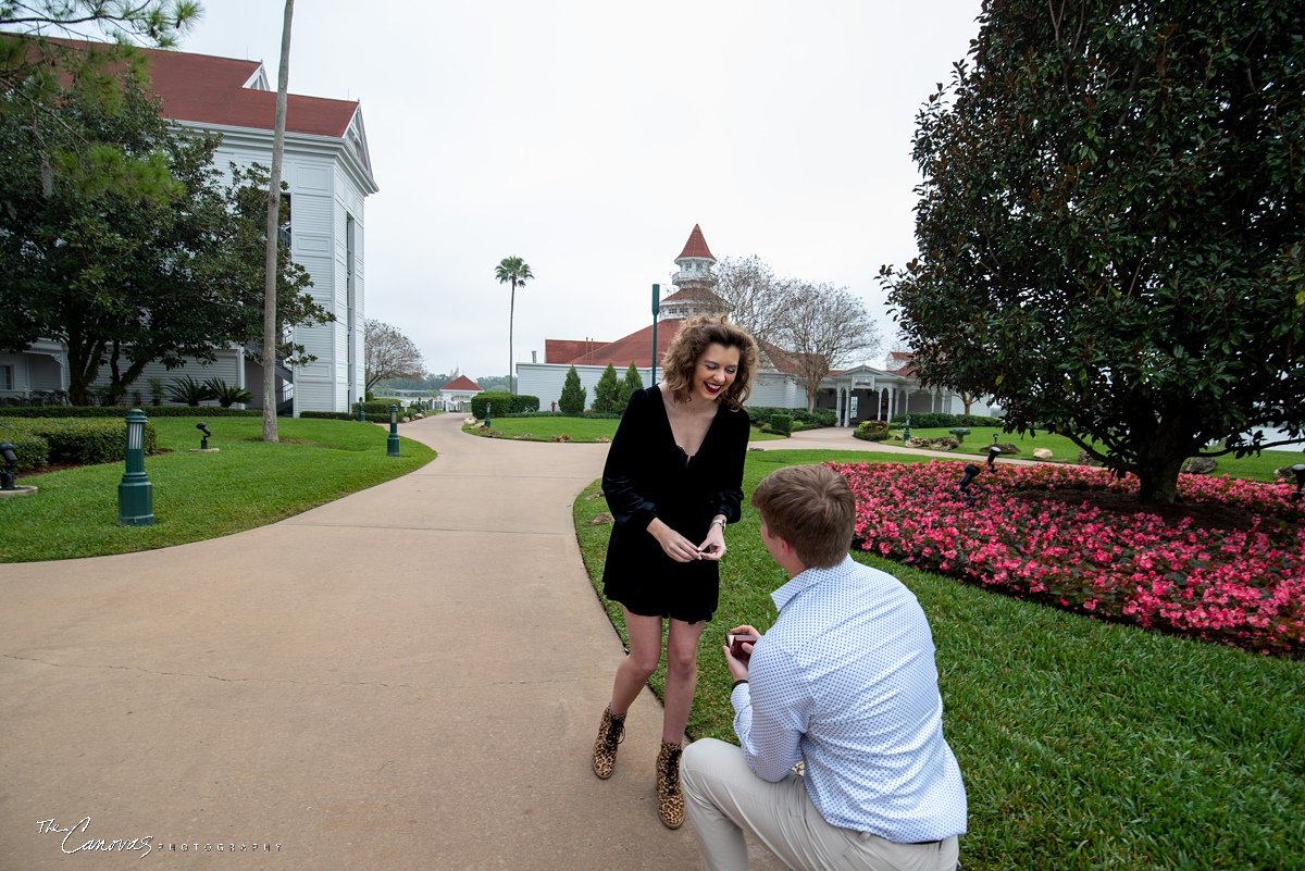 engagement portraits orlando, professional photography near me, grand floridian engagement