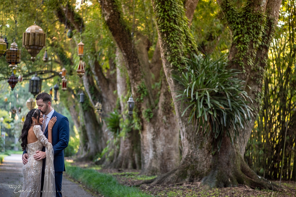 Engagement Portraits