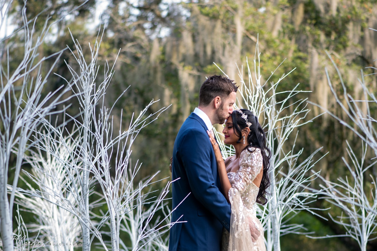 Engagement Portraits