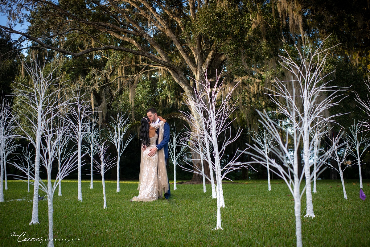 Engagement Portraits