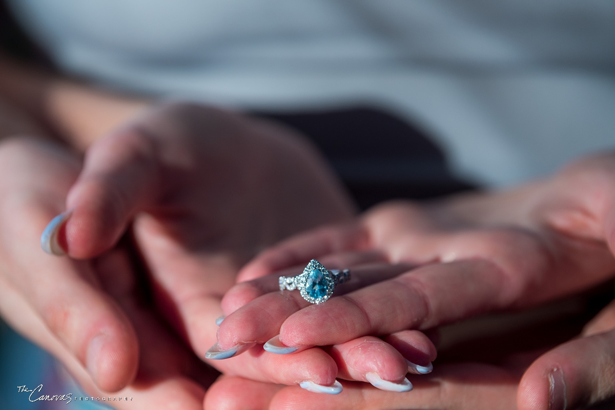 Proposal Photos at Kraft Azalea Gardens