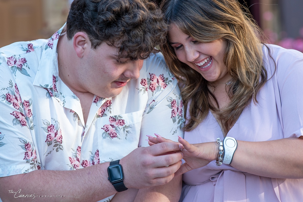 Proposal Photos at Epcot