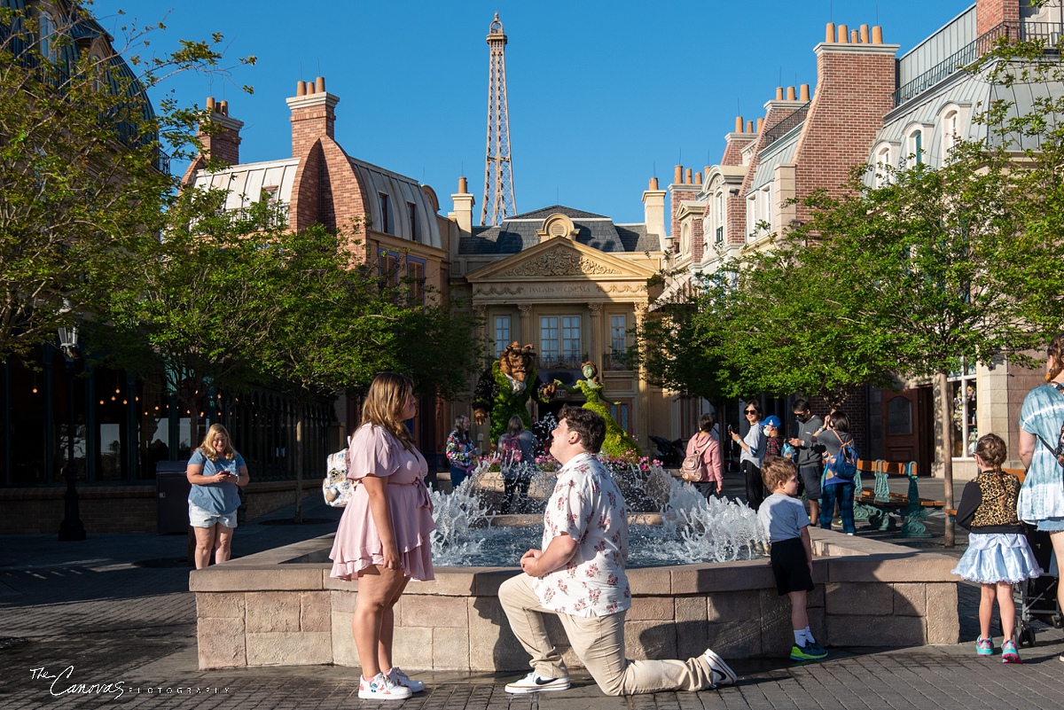 Proposal Photos at Epcot