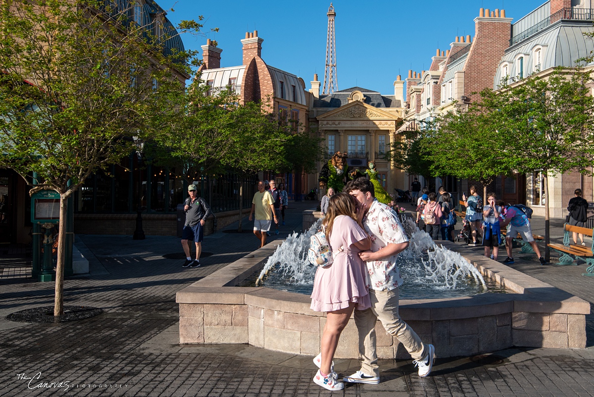 Proposal Photos at Epcot