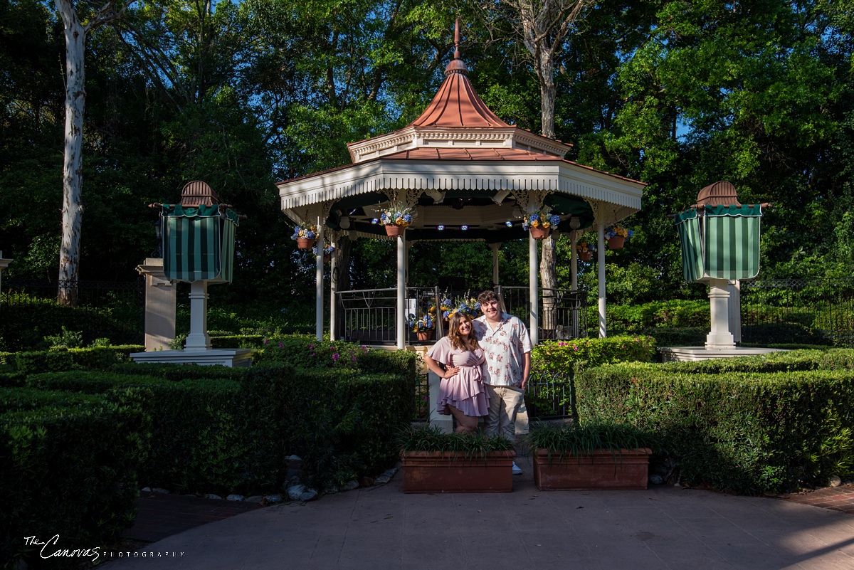 Proposal Photos at Epcot