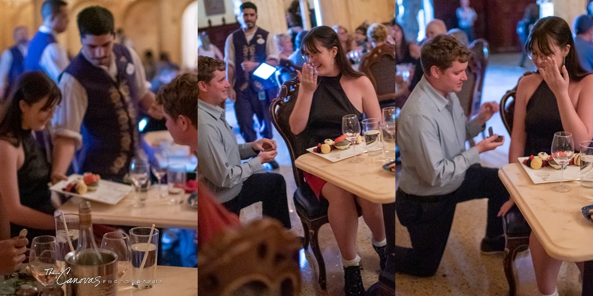 Disney Proposal Portraits, proposal photographer near me, professional proposal photography