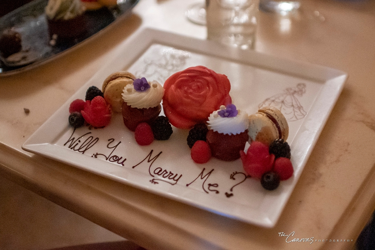 Disney Proposal Portraits, proposal photographer near me, professional proposal photography