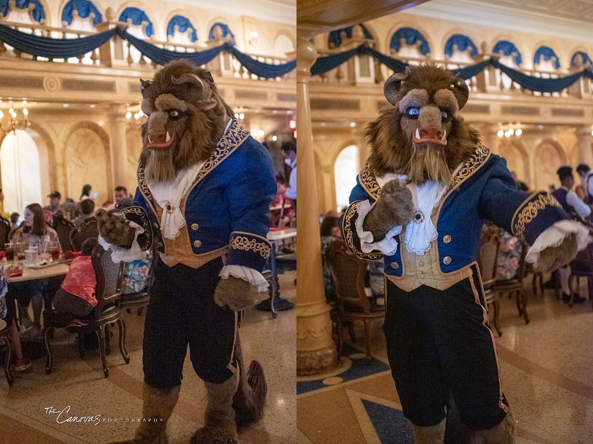 Disney Proposal Portraits, proposal photographer near me, professional proposal photography