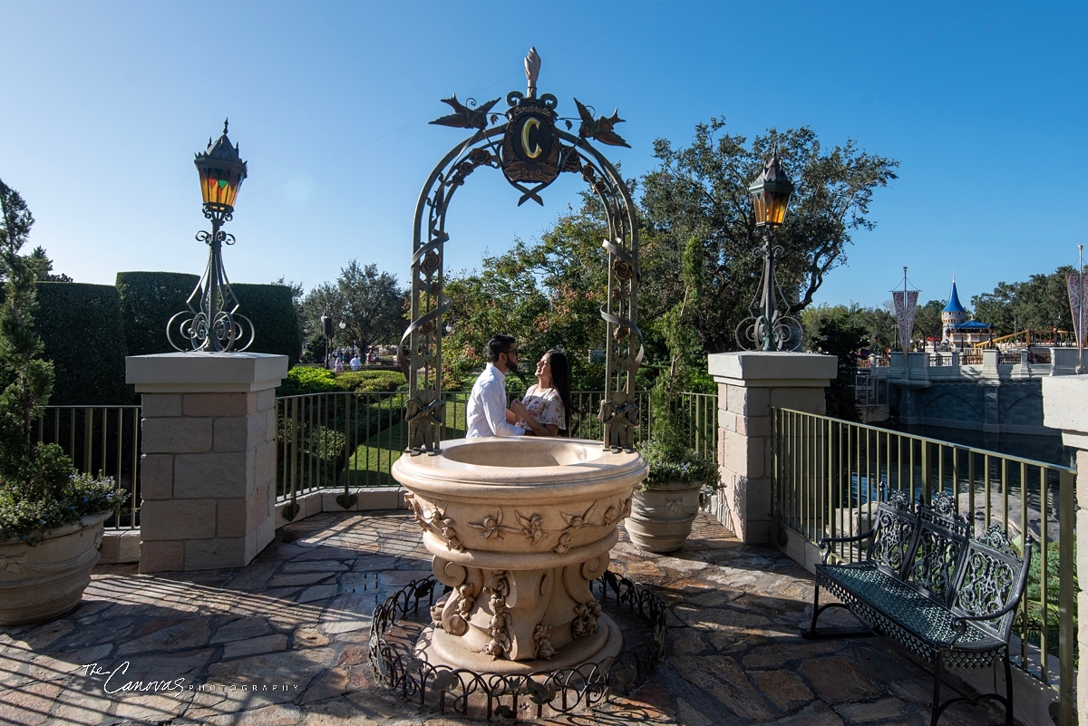 Surprise Proposal Photos at the Magic Kingdom