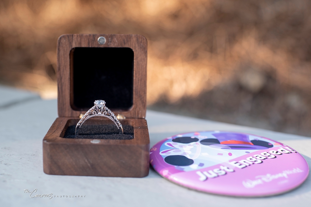 Disney Proposal Portraits, proposal photographer near me, professional proposal photography