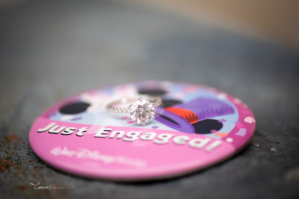 Engagement Photos at the Magic Kingdom
