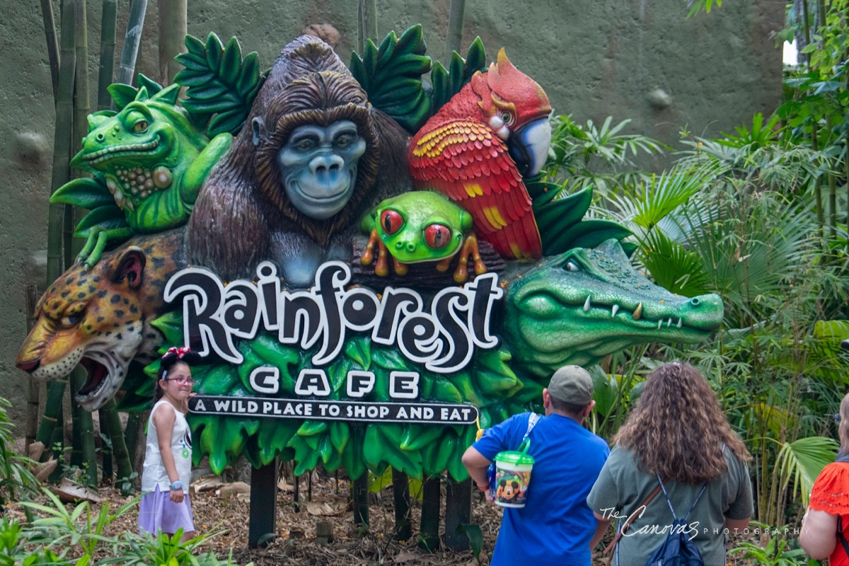 Disney Animal Kingdom portrait photographers, get family pics taken at Animal Kingdom Orlando